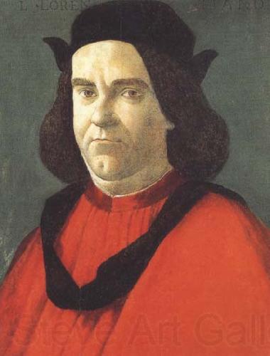 Sandro Botticelli Portrait of Lorenzo de'Lorenzi France oil painting art